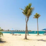 Dubai Coastal Protection: Safeguarding the Future of the Emirate’s Shorelines