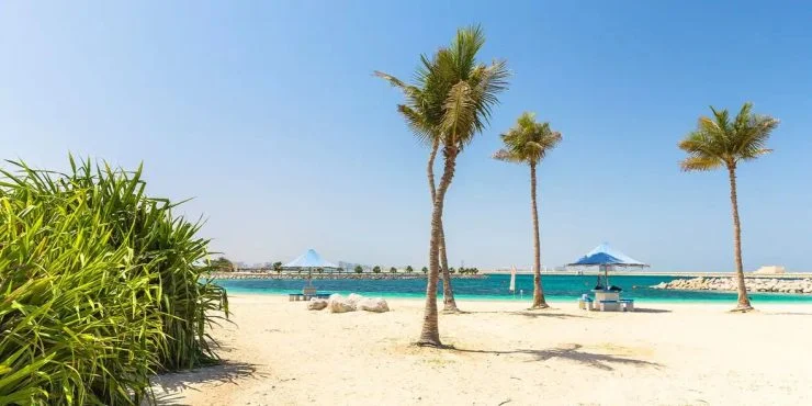 Dubai Coastal Protection: Safeguarding the Future of the Emirate’s Shorelines