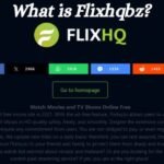 How Flixhqbz is Shaping the Future of Digital Media