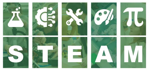 Full Steam Ahead Homeschool: A Personalized Learning Journey