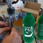 Polvora Fox: A Journey into the Life of an Enigmatic Creature