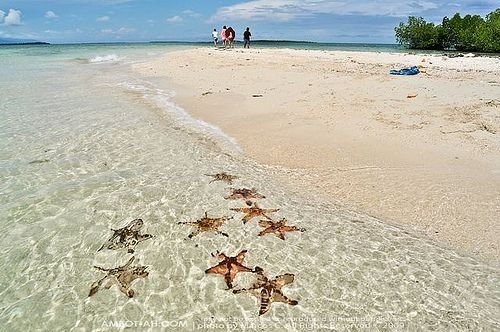 Vibrant Sandbars: Nature’s Colorful Coastal Wonders